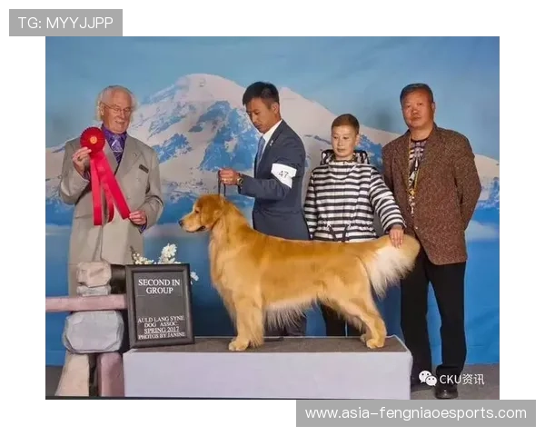 各大足球明星宠爱哪些狗狗揭秘他们背后的球场伴侣