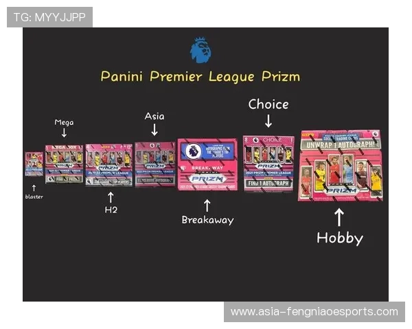 帕尼尼杜雷斯足球球星卡珍藏版解析与市场价值探讨