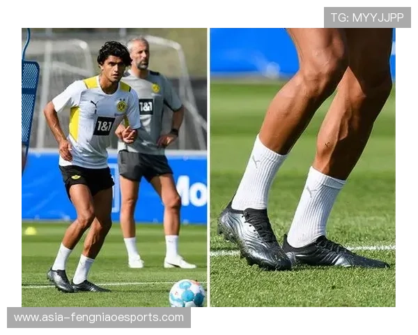 穿耐克球鞋的足球巨星有哪些他们在赛场上的表现如何